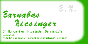 barnabas nicsinger business card